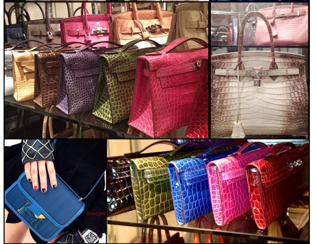 Jamie Chua  Bags, Luxury bags, Hermes bags